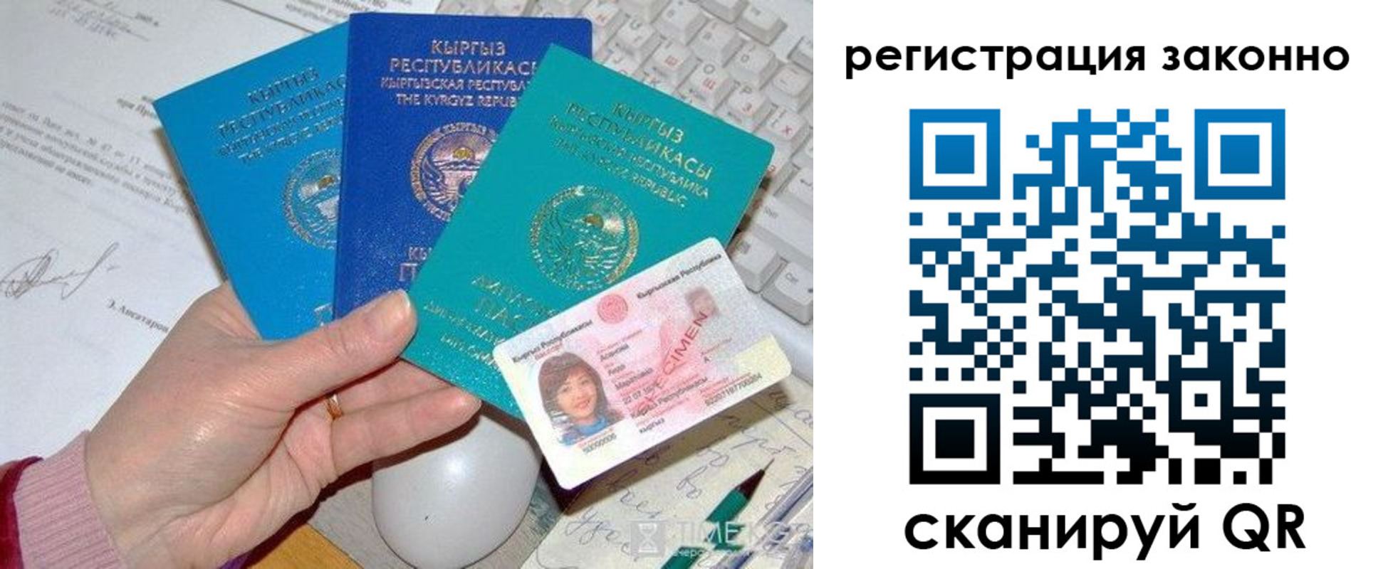 прописка для школы в Новгородской области